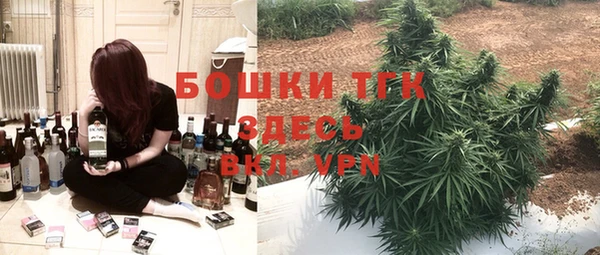 гидра Балахна