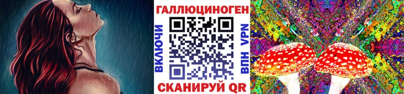 сколько стоит  Бородино  Галлюциногенные грибы прущие грибы 